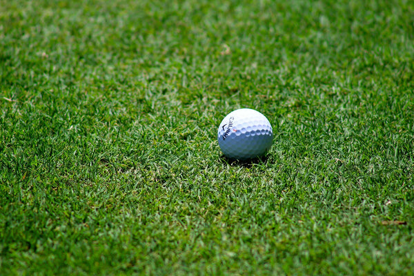 Guide d'achat : comment choisir la meilleure balle de golf adaptée à votre jeu ?