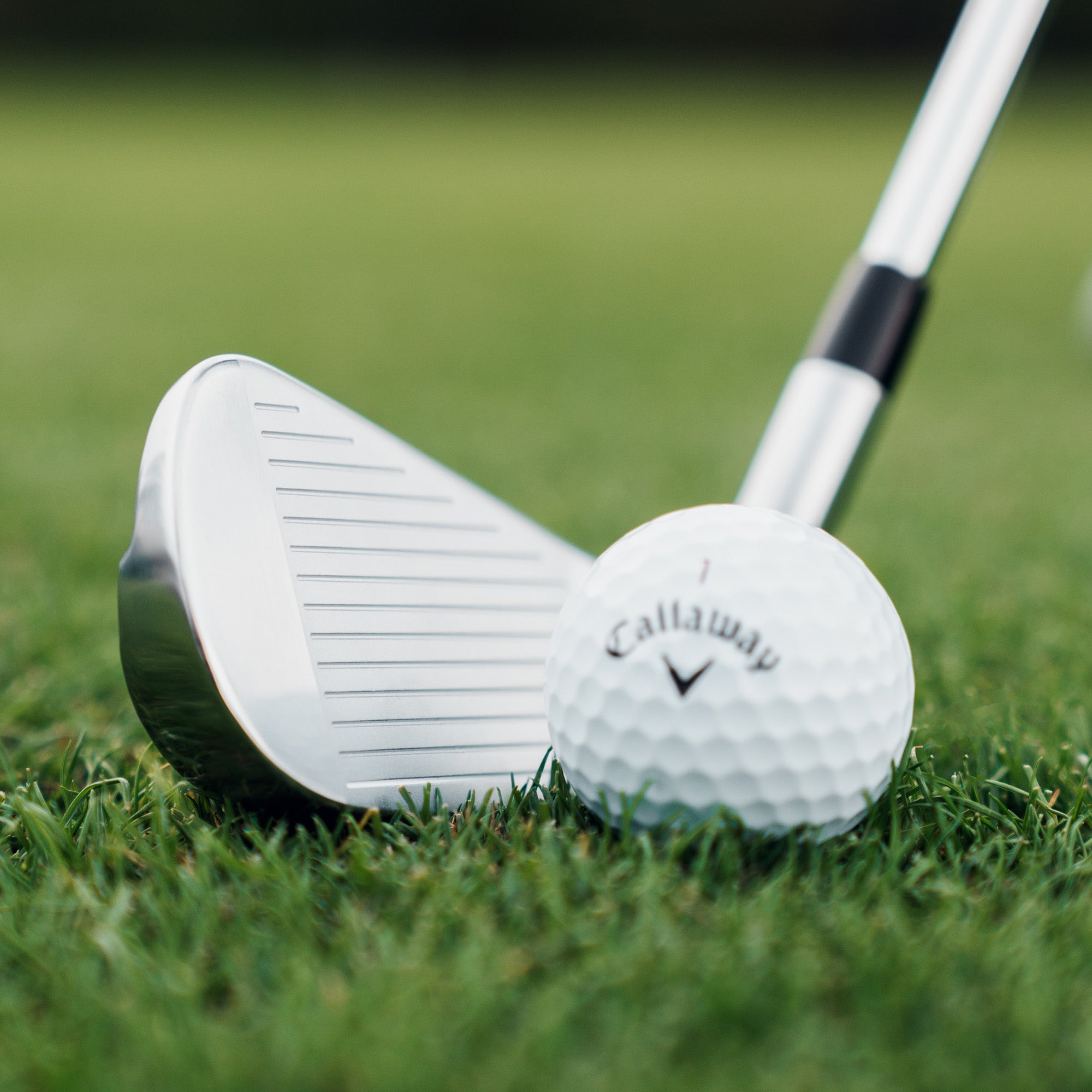 Fitting Day Callaway