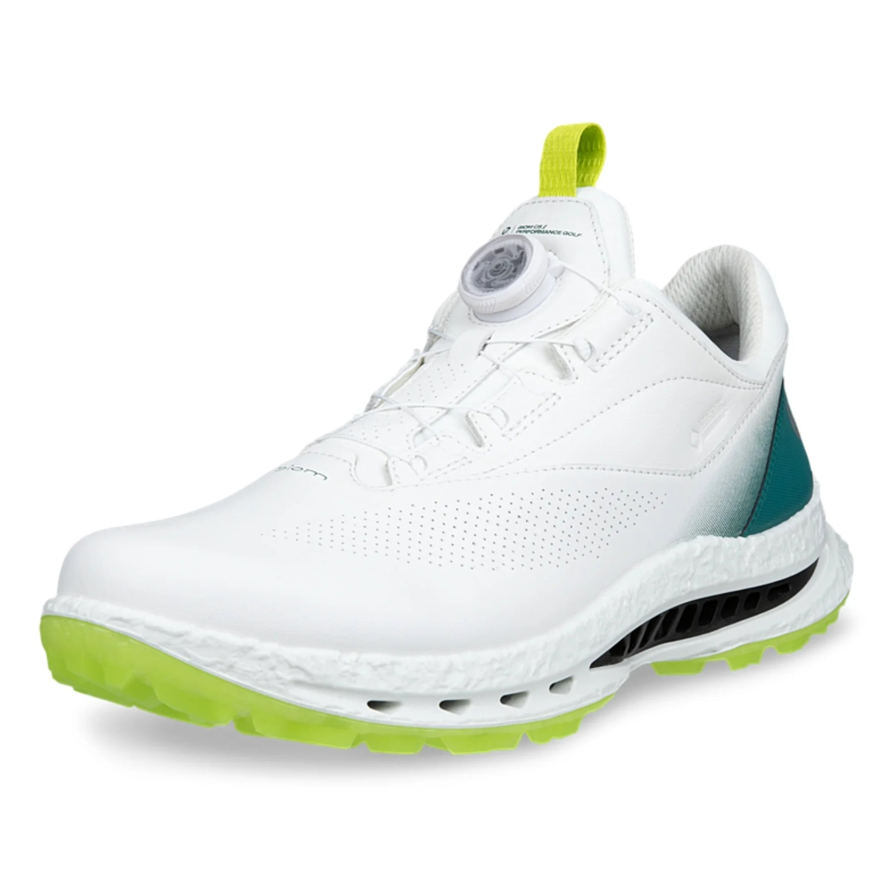 ECCO Chaussures BIOM C5 BOA GTX Blanc et Vert