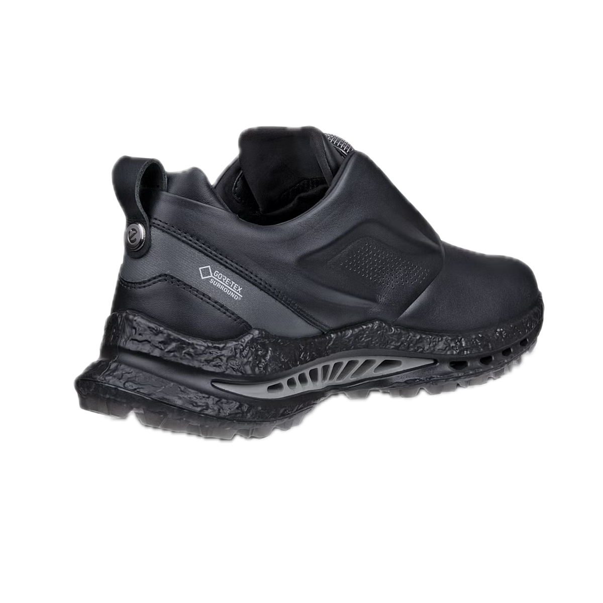 ECCO Chaussures BIOM C5 BOA Goretex Noir - GolfCenter.fr