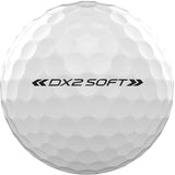 Wilson Balles DX2 Soft blanche (boite de 12) - Golf ProShop Demo
